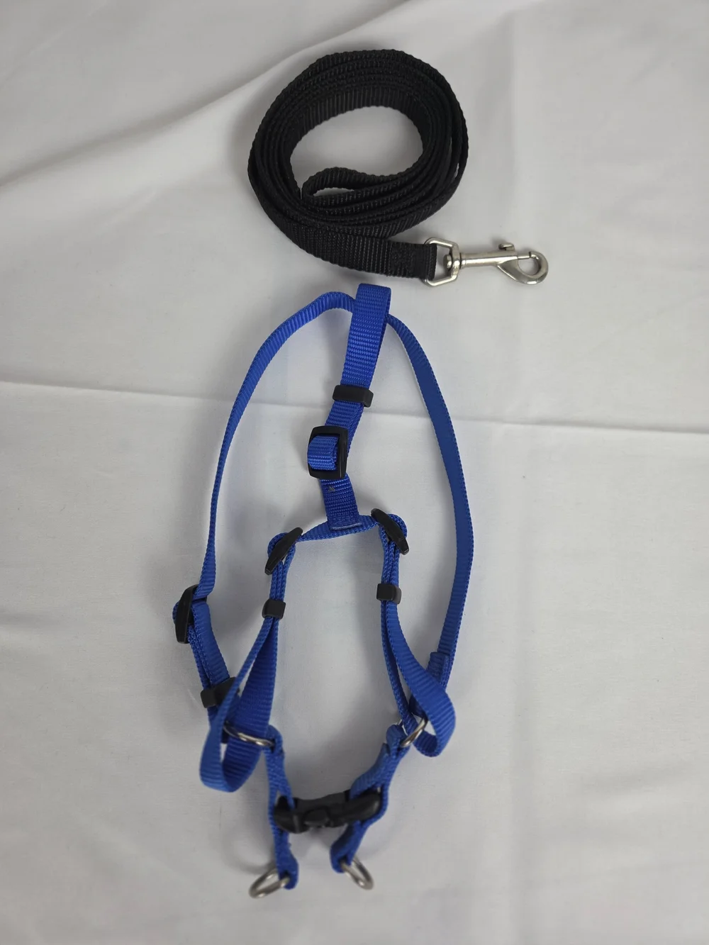 Blue Adjustable Dog Harness and Leash Set